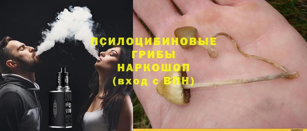 бошки Армянск