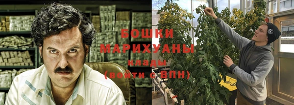 шишки Алзамай