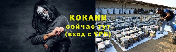 крисы Ельня