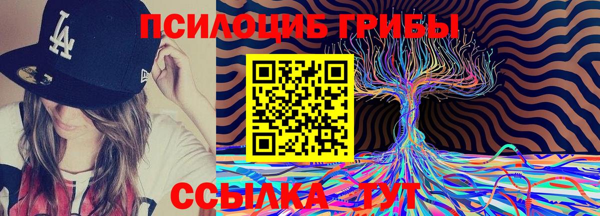 Галлюциногенные грибы GOLDEN TEACHER  Вход с VPN  Мурманск 